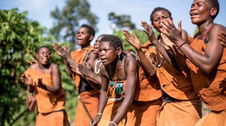 Batwa Experience