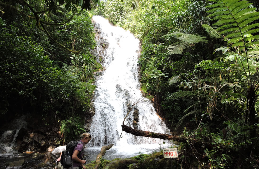 Bwindi Waterfalls